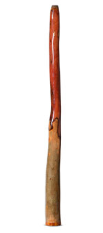 Tristan O'Meara Didgeridoo (TM506)